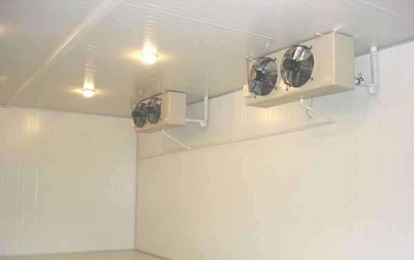 冷庫是否可以起到殺菌消毒的作用？