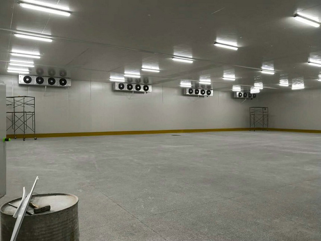 建造100平方冷凍庫需要多少錢？